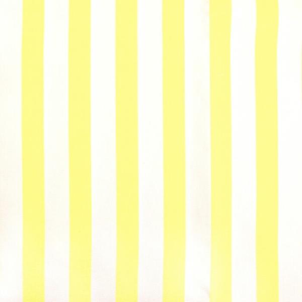 50cmPʃJbg IbNXXgCv pXe F hsk980-e