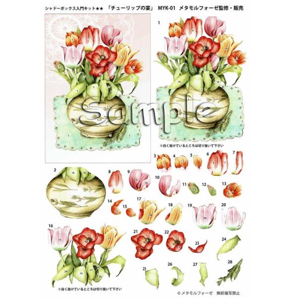 シャドープリント シャドーボックス入門キット チューリップの宴 MYK