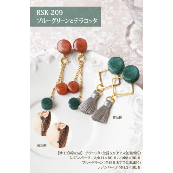 レジンアクセサリー　NO.209 abc-craft_rsk-209