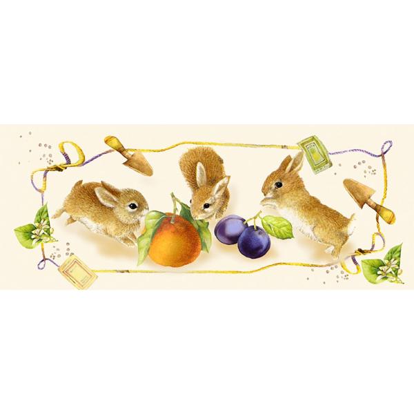 X^WIFeelfUC̗̃eLXgV[g  ETMƉʕ  S-025