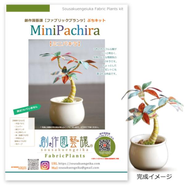 手芸キット ファブリックプランツ ミニパキラ メール便/宅配便可