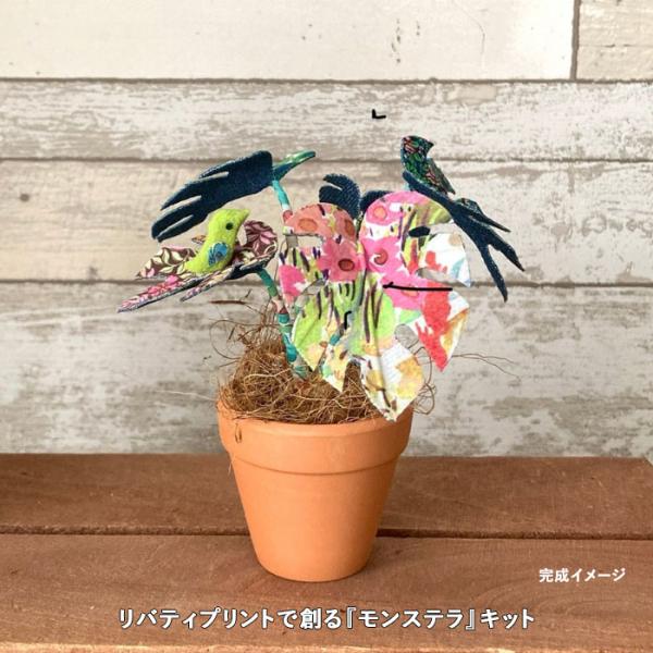 手芸キット ファブリックプランツ リバティで創る モンステラ メール便/宅配便可