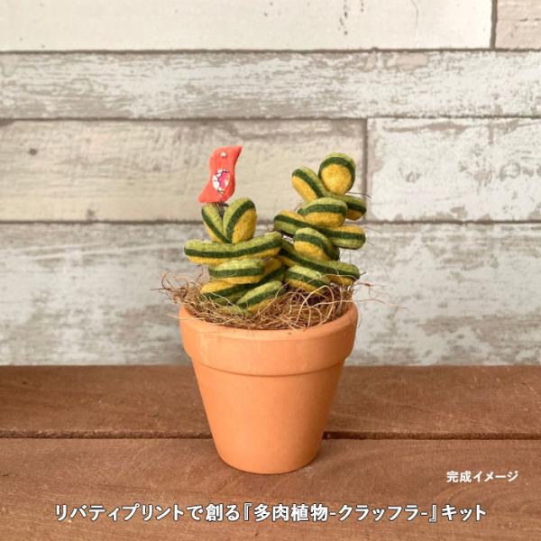 手芸キット ファブリックプランツ リバティで創る 多肉植物 クラッスラ メール便/宅配便可