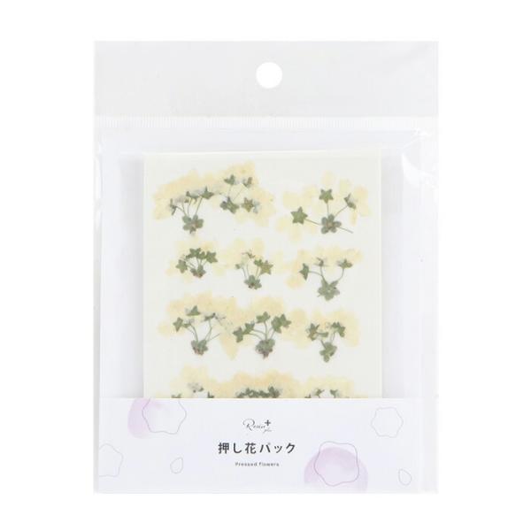 クラフト ユキヤナギの人気商品 通販 価格比較 価格 Com