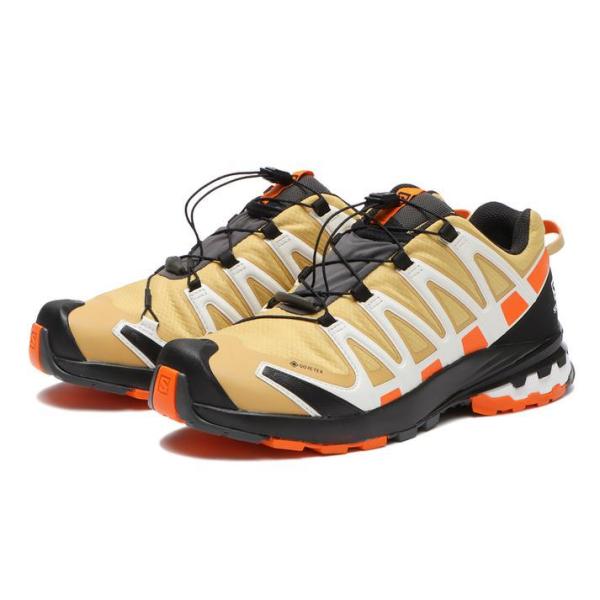 SALOMON（サロモン） XA PRO 3D v8 GTX エックスエープロスリーディー