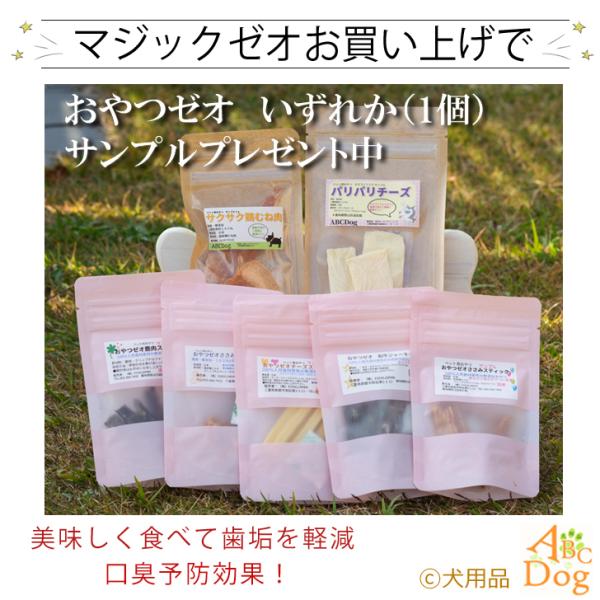 毎週更新 犬 歯石除去 マジックゼオ デイリー 猫 歯石 歯垢 歯磨き粉 ジェル状 簡単 口臭 歯周病予防 歯周病菌 デンタルケア 国産無添加 Academydosaber Com