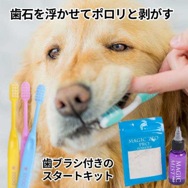 マジックゼオ プロ EDOG 歯ブラシ 3本 犬 歯磨き すすぎ不要 マジックゼオ プロ EDOG 歯ブラシ 3本 犬 歯磨き すすぎ不要