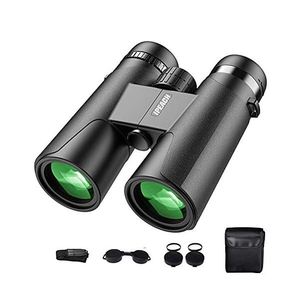 売れ筋ランキングも 人気 コンパクト 双眼鏡 オペラグラス Ipeach コンサート 双眼鏡 ケンコー Comisariatolosandes Com