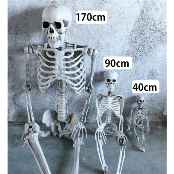 abeboueki-store_ab-c-01