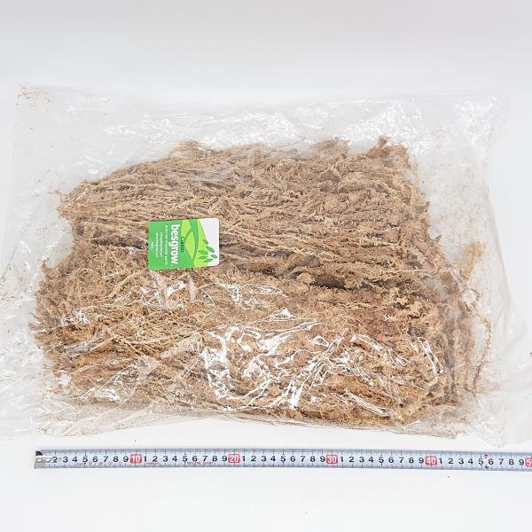 【高級　選別品】水苔　ニュージーランド産　約40cm　ストランドモス　富貴蘭