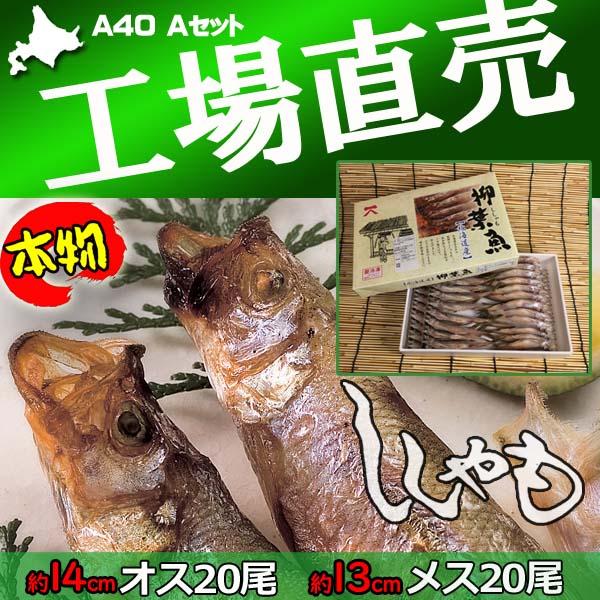 ■ししゃも　Ａセット　メス20尾　オス20尾メス(約１３ｃｍ)ｘ２０尾　　オス(約１４ｃｍ)ｘ２０尾のセットです。送料税込み価格で、冷凍便で工場から直送いたします。北海道の太平洋側の一部地域、主に 鵡川 沙流川 釧路川 周辺などでしかとれな...