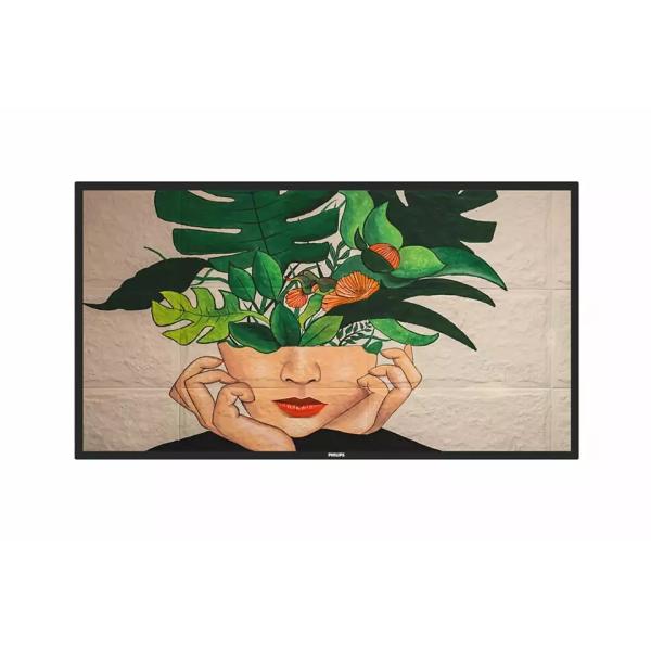 yʓrz ysz PHILIPS@65C`TCl[W/3840×2160/DVI HDMI DisplayPort@65BDL4550D/11