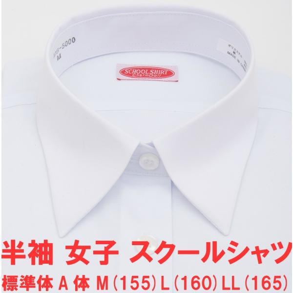 スクールシャツ 女子 半袖 白無地 レギュラー Yシャツ レディース 学生服 カッターシャツ ブラウス 白シャツ 制服 高校 中学 送料無料