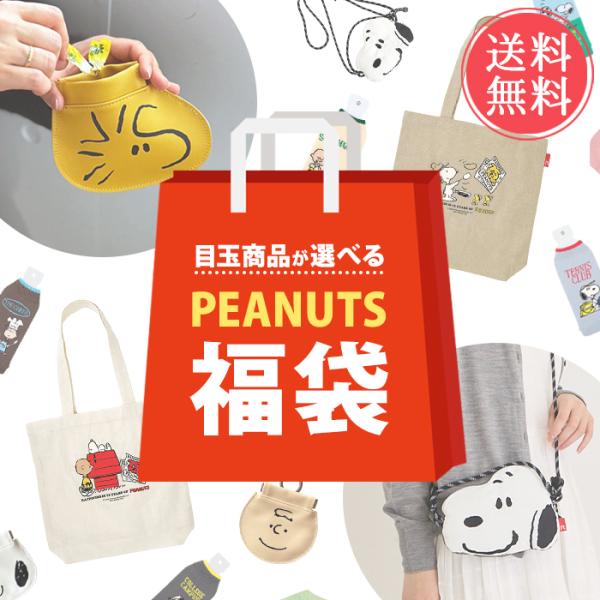 PEANUTS スヌーピー 選べる福袋 3点入り 数量限定 福袋 ピーナッツ