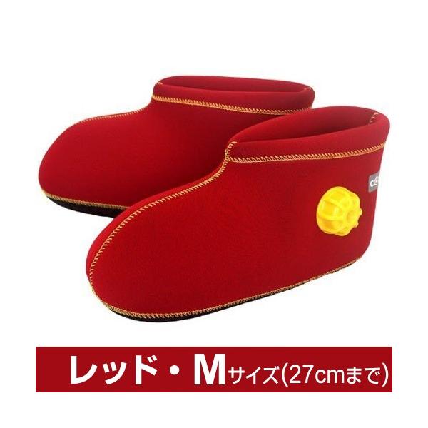 Nbc 炩 pV[g^Cv (t) bhM (27cm܂)  ۏ؏t Mtg w̃eiX܂