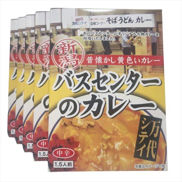 バスセンターのカレー 220g (1.5人前) 5箱セット 中辛 万代 バスセンターのカレー 220g (1.5人前) 5箱セット 中辛 万代
