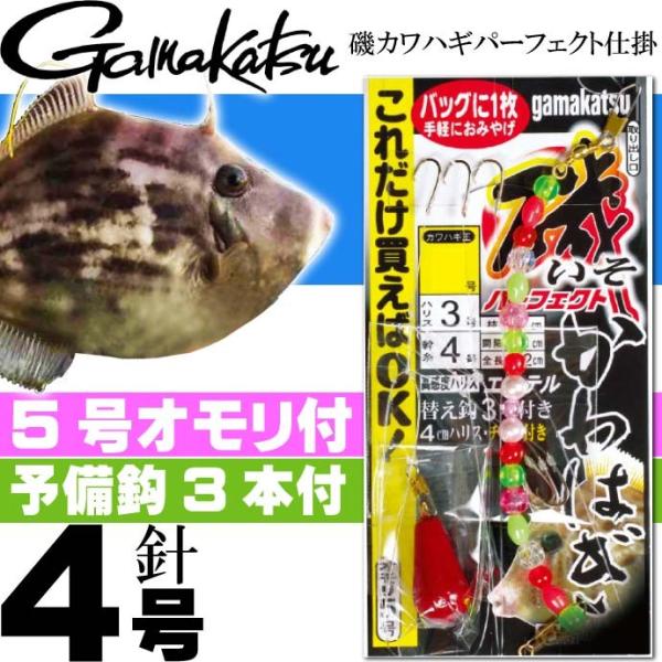 JnMp[tFNgd| 43012 KH001 4 nX3 gamakatsu ނ JnMpd|j 5It Ks320