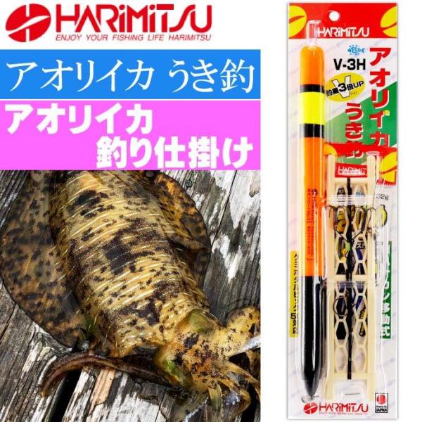 アオリイカ 検索ランキング注目度順 アオリイカ 総合