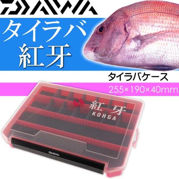DAIWA（ダイワ） 紅牙タイラバケース 255×190×40mm ヘッド 針入れ 釣り