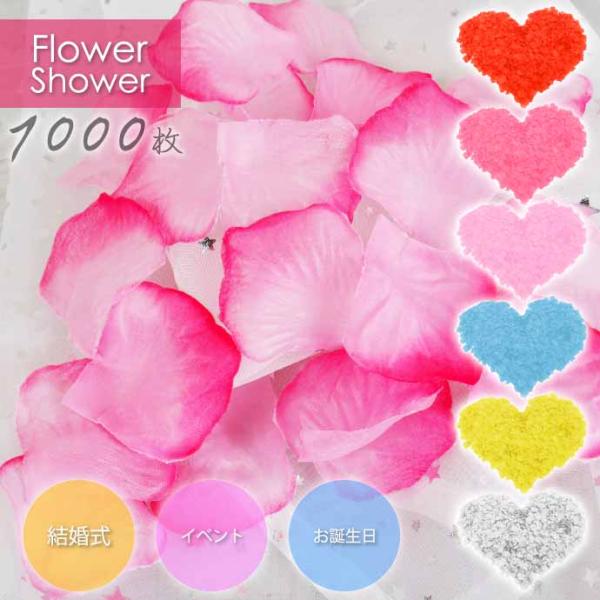 [Release date: April 11, 2023]フラワーシャワー4582464882652458246488118145824648826074582464882614458246488262145824648826384582...