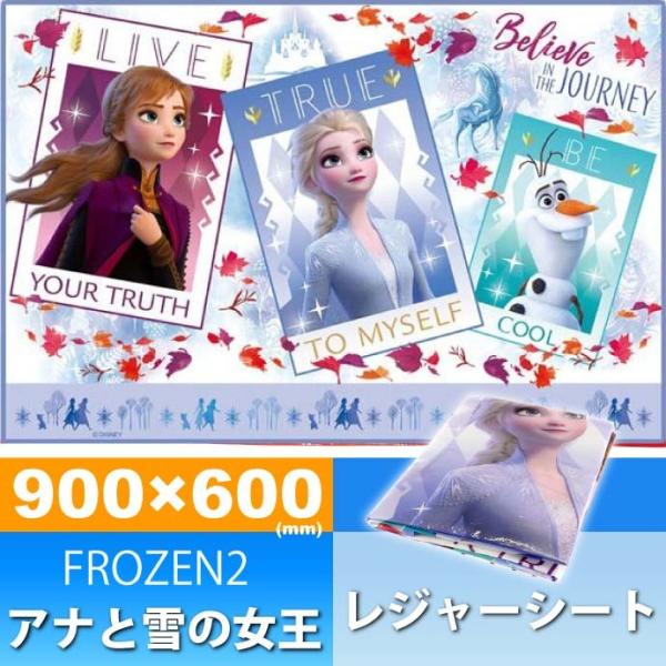 AiƐ̏ FROZEN2 W[V[g 90×60cm VS1 LN^[ObY qpV[g ^ p Sk600
