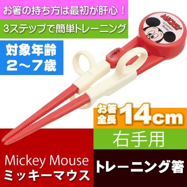 箸の持ち方 みんな探してる人気モノ 箸の持ち方 キッチン用品 食器 調理器具