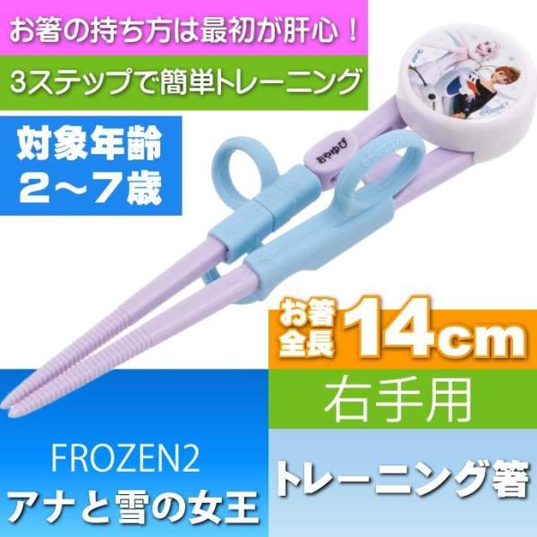 AiƐ̏ fbNXg[jO Kp ADXT1 LN^[ObY qlp ̗K Sk281