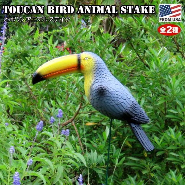 ■ Toucan Bird Animal Stake ■大きなクチバシが特徴の南国の鳥、オオハシをモチーフにしたガーデンステイクです。リアルに寄せたカッコイイ雰囲気。男前なガーデンにもピッタリです。玄関周りやお庭の存在感たっぷりなアクセント...