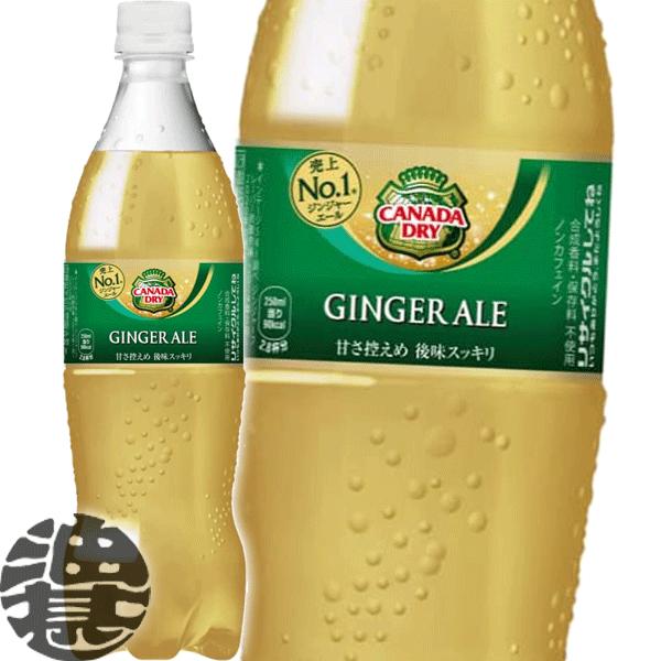 ジンジャー・スナップス('00カナダ) カナダドライジンジャーエール 500mlPET×24本_飲料・ドリンク 炭酸飲料