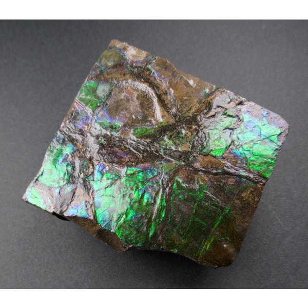 アンモライト(アンモナイト）160g '七色の繁栄の石' 川の流れのような