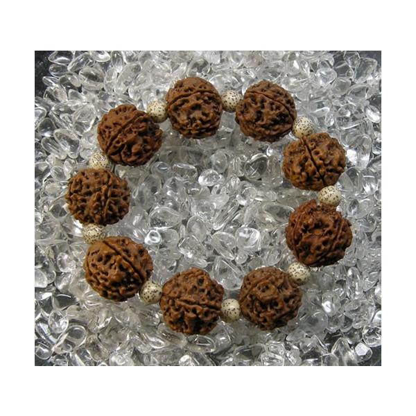 5L h[NV20mm&amp;8mm uXbg B1rud005 Ñ̐TŐ^ꂽ_Ȃ