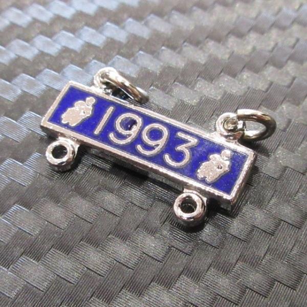 RAC sobWANZT[ Nv[g 1993