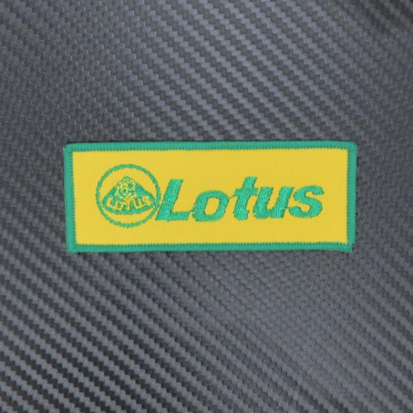Lotus ���[�^�X���S���t�H���g �C�G���[���O���[�� �l�p �N���X�o�b�W