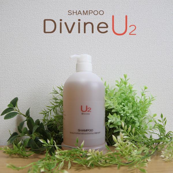 ディバイン シャンプー U2 1000ml ディバインシャンプー ディバイン 漢方 抜け毛予防シャンプー予防シャンプー オーガニック シャンプー Accent Dvsu1000 Accent 通販 Yahoo ショッピング