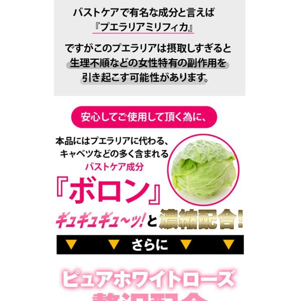 バストケア バストサプリ ザクロ 極嬢ボロン メール便対応 ボロン 美乳 育乳 貧乳 ホワイトローズ ザクロ 女性ホルモン Buyee Buyee Japanese Proxy Service Buy From Japan Bot Online