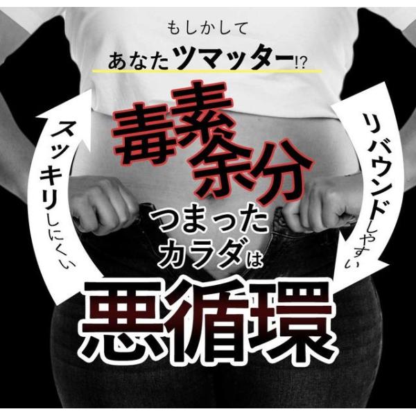 ダイエット 菌活 ダイエットサプリ Sumit スミット メール便対応 活性炭 脂肪 備長炭 酵素ダイエット 酵母 乳酸菌 ミネラル キノコキトサン Buyee Buyee 日本の通販商品 オークションの代理入札 代理購入