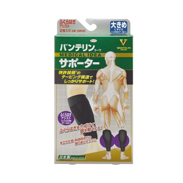 sat oeR[ T|[^[ ӂ͂AVXg 傫߁iEpE2j