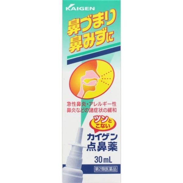 第2類医薬品】カイゲンファーマ(株) カイゲン点鼻薬 30ml (鼻炎治療薬