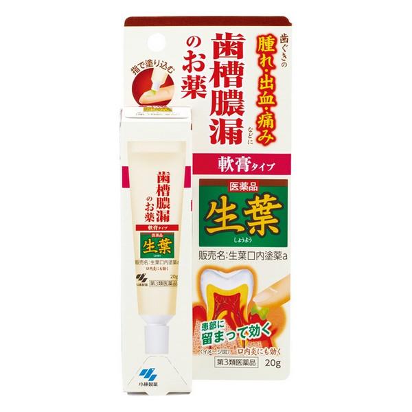小林製薬》 生葉口内塗薬 20g (歯科口腔用薬) 【第3類医薬品】 : ドラッグ 青空 - 通販 - Yahoo!ショッピング