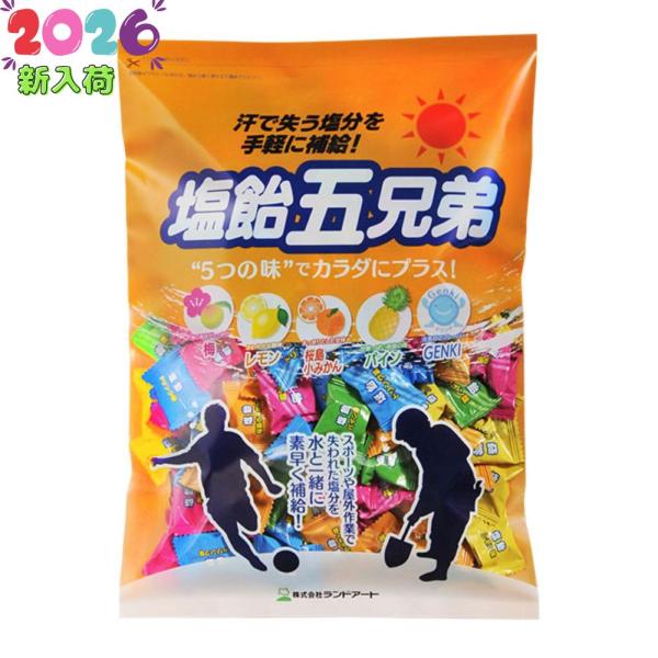 2026年最新入荷 ランドアート 塩飴五兄弟 800g 袋入り 約200粒　塩分補給 塩熱中症対策 塩飴５兄弟 塩飴5兄弟
