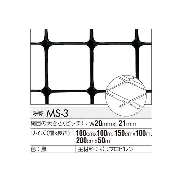 gJlbgMS-3@500mmx1000mm@1