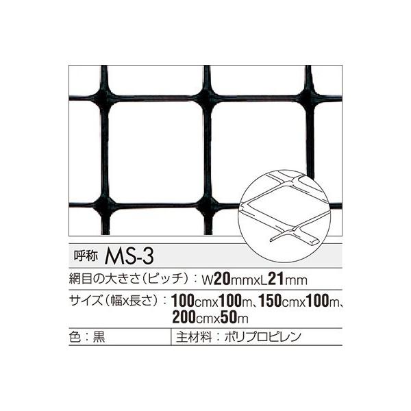 gJlbgMS-3@1000mmx1000mm@1
