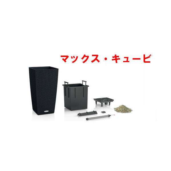 hCcAؔ@ʋ^yʃv^[y`[UE}bNXL[rz