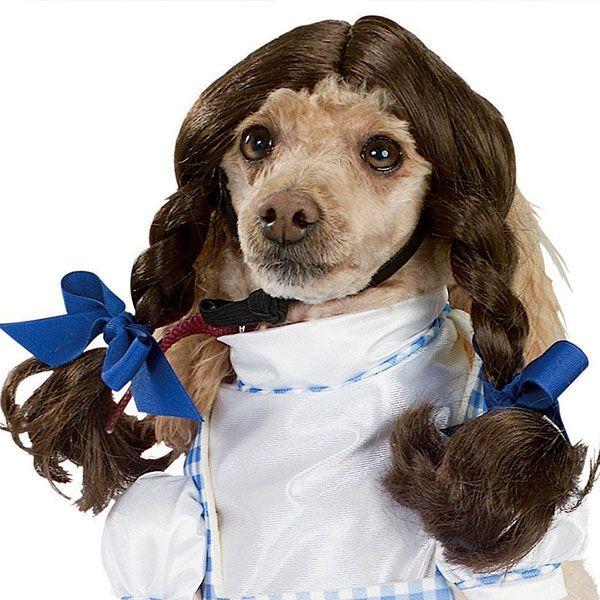 なりきり 犬 服 ペット オズの魔法使い コスプレ ドロシー 犬用コスチューム 年賀状 戌年 Buyee Buyee 日本の通販商品 オークションの代理入札 代理購入