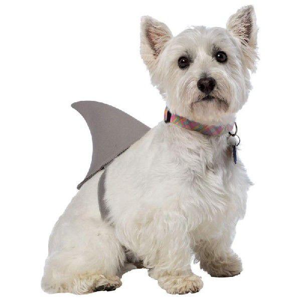 犬服 サメのヒレ ジョーズ シャーク ペット コスチューム 犬の服 ユニバ コスプレ Usj アカムスyahoo 店 通販 Yahoo ショッピング