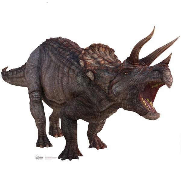 大迫力 トリケラトプス 巨大 大きな 立て 看板 パネル ボード 165ｃｍｘ124ｃｍ 恐竜 ジュラシック ワールド 目立つ 注目 ユニバ コスプレ Usj アカムスyahoo 店 通販 Yahoo ショッピング