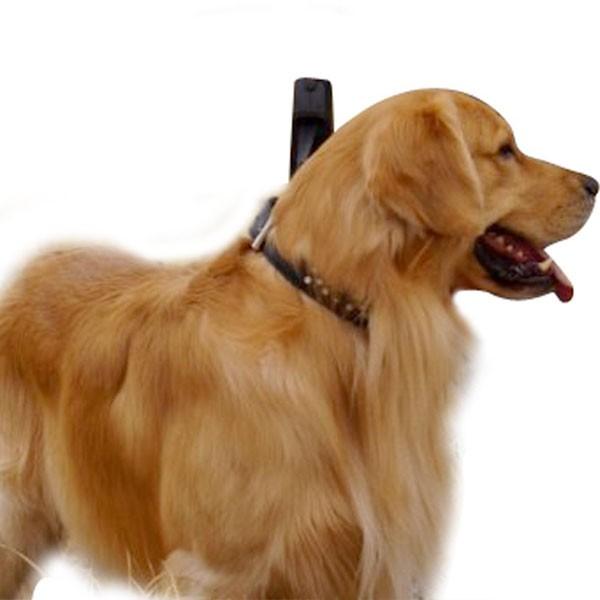 大型 犬 用 ライオン たてがみ ウィッグ コスプレ パーティー イベント ゴールデンレトリバー ラブラドール レトリーバー 年賀状 戌年 Buyee Buyee 日本の通販商品 オークションの代理入札 代理購入