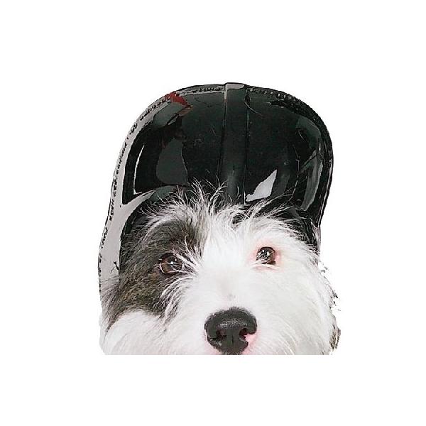 コスチューム ダースベイダー ハロウィーン なりきり 映画 スターウォーズ公式 ディズニー ペット用 Buyee Buyee 提供一站式最全面最專業現地yahoo Japan拍賣代bid代拍代購服務 Bot Online