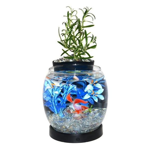 水槽 熱帯魚 魚 ベタ プランター ペン立て 付き アクアリウム Ledライト タイマー ブラック ペット 飾り インテリア Buyee Buyee 提供一站式最全面最專業現地yahoo Japan拍賣代bid代拍代購服務 Bot Online