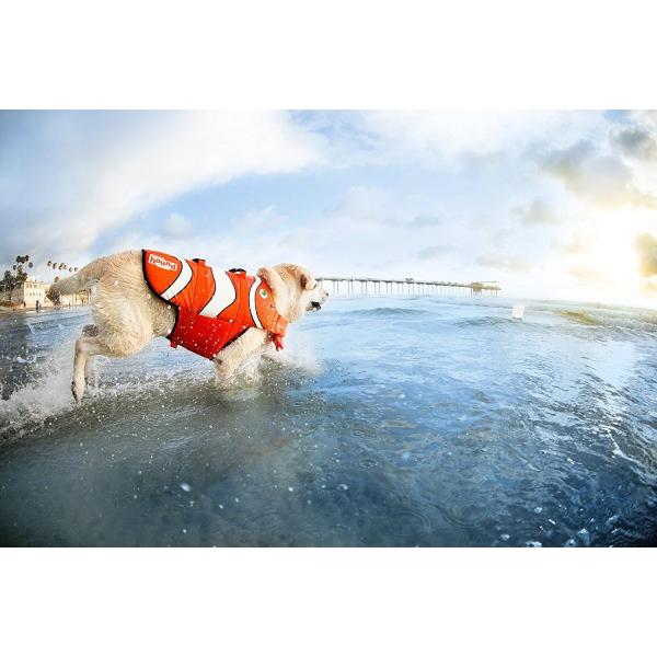 犬用 ライフジャケット 魚 コスプレ クマノミ 浮き輪 ワンちゃん 